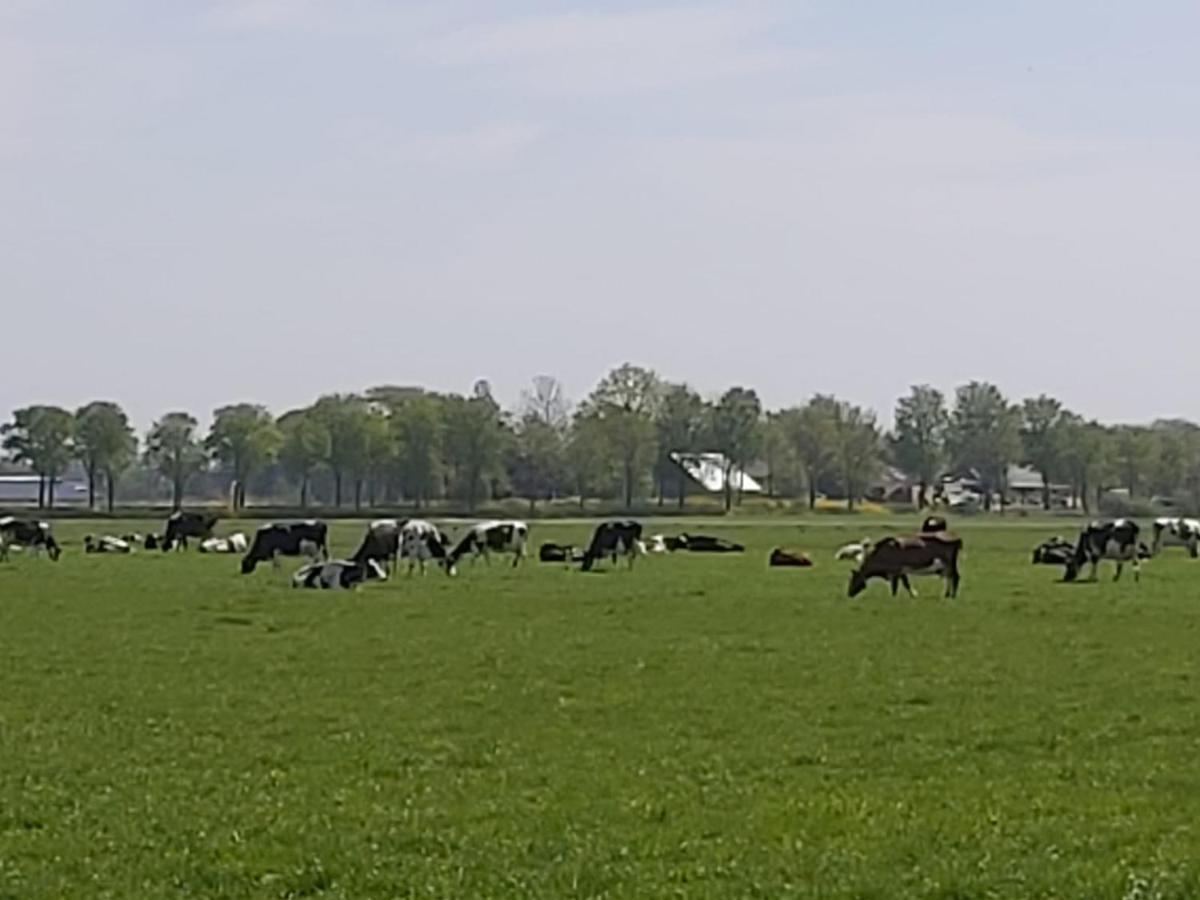 Akkrum Luxe Gastenverblijf In Het Hart Van Friesland מראה חיצוני תמונה