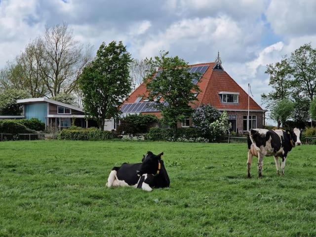 Akkrum Luxe Gastenverblijf In Het Hart Van Friesland מראה חיצוני תמונה